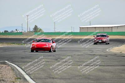 media/May-04-2025-Lucky Dog Racing (Sun) [[21629467aa]]/Turn 9 (115-130pm)/